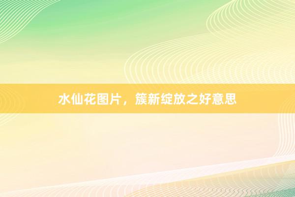 水仙花图片,簇新绽放之好意思
