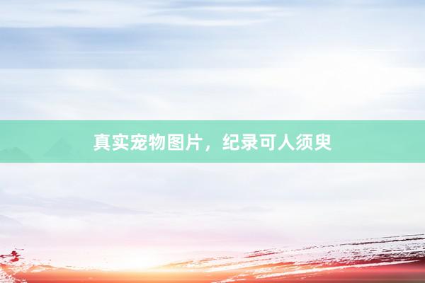 真实宠物图片，纪录可人须臾
